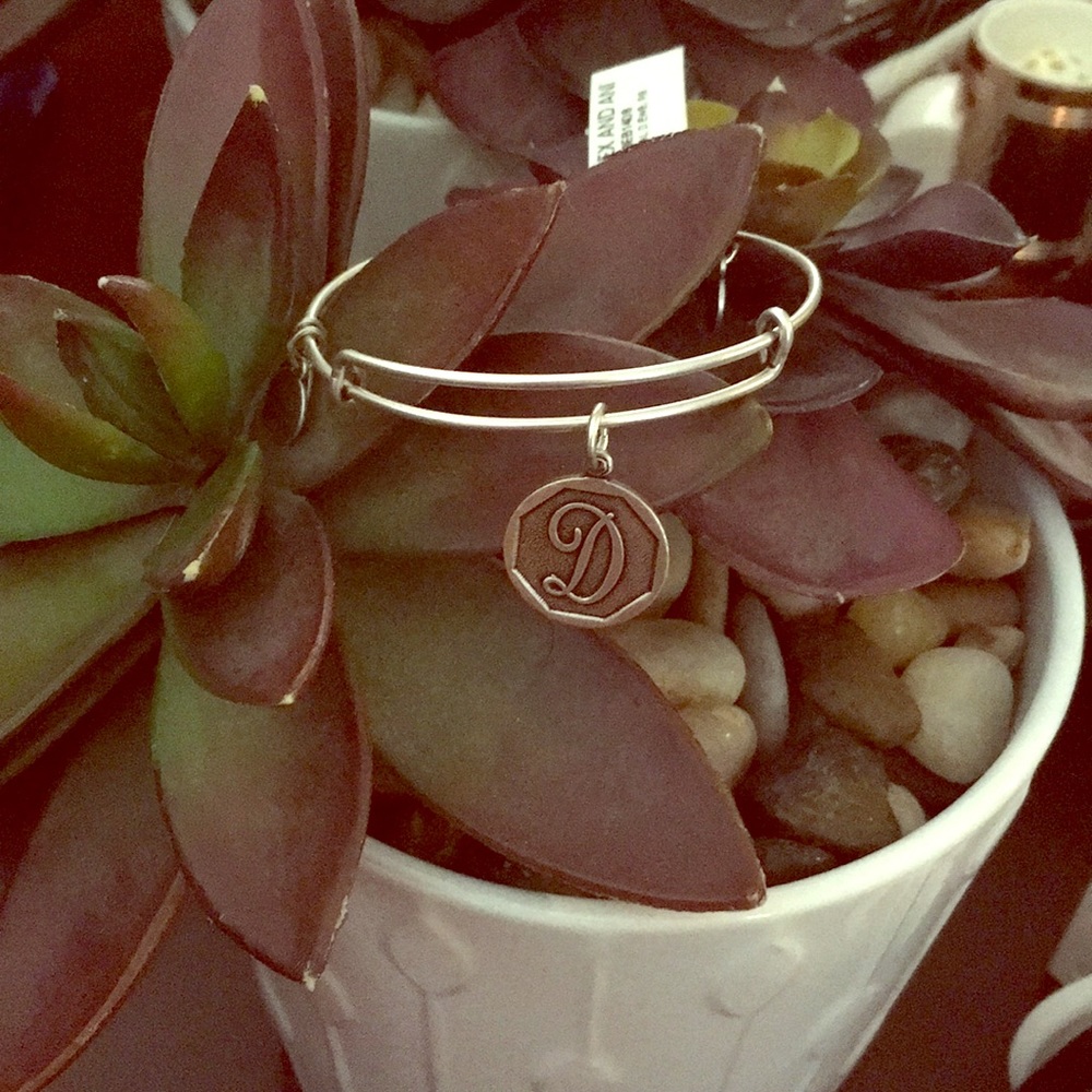 Alex and Ani Bangle